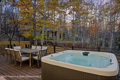 233 Stellar Lane, Snowmass Village, CO 81615 - Photo 19