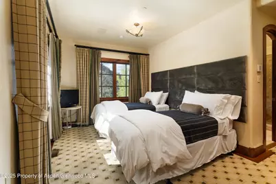 388 Exhibition Lane, Aspen, CO 81611 - Photo 39