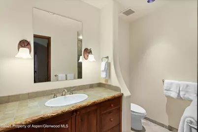 388 Exhibition Lane, Aspen, CO 81611 - Photo 33