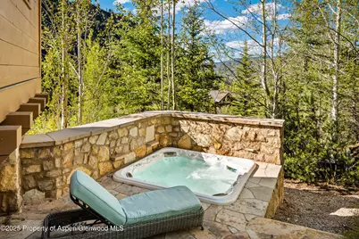 388 Exhibition Lane, Aspen, CO 81611 - Photo 21