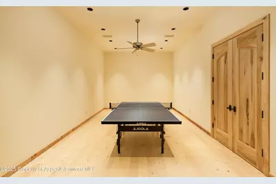 388 Exhibition Lane, Aspen, CO 81611 - Photo 25