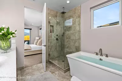 250 Overlook Ridge #250, Basalt, CO 81621 - Photo 15