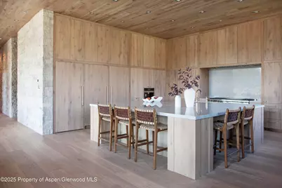 88 Clover Lane, Woody Creek, CO 81656 - Photo 7