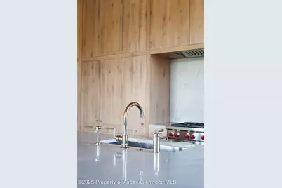 88 Clover Lane, Woody Creek, CO 81656 - Photo 9