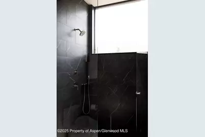 88 Clover Lane, Woody Creek, CO 81656 - Photo 19