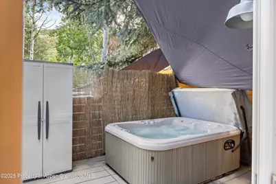 55 Bear Trail, Aspen, CO 81611 - Photo 41