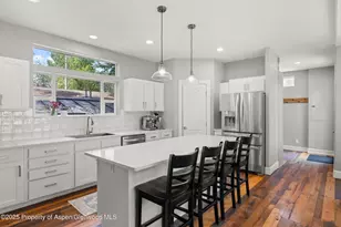 55 Bear Trail, Aspen, CO 81611 - Photo 9