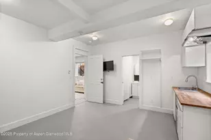 55 Bear Trail, Aspen, CO 81611 - Photo 31