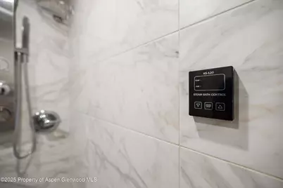 950 Vine Street, Aspen, CO 81611 - Photo 15