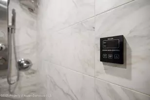 950 Vine St, Aspen, CO 81611 - Photo 15