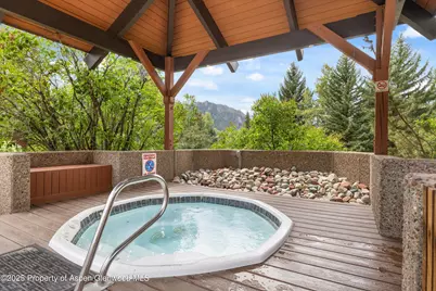 950 Vine Street, Aspen, CO 81611 - Photo 23