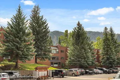 950 Vine Street, Aspen, CO 81611 - Photo 21