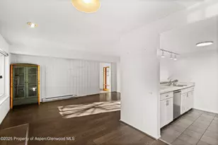 35 Lower Woodbridge Rd, Snowmass Village, CO 81615 - Photo 5