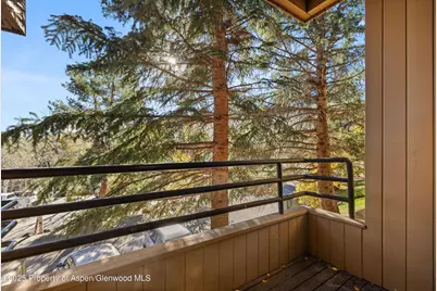 35 Lower Woodbridge Road #V/177, Snowmass Village, CO 81615 - Photo 7