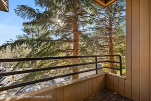 35 Lower Woodbridge Rd, Snowmass Village, CO 81615 - Photo 7