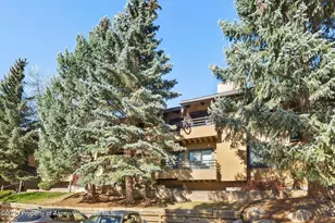 35 Lower Woodbridge Rd, Snowmass Village, CO 81615 - Photo 15