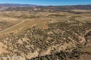 260 Lazy S Reverse S Dr, New Castle, CO 81647 - Photo 29