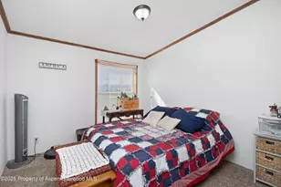 260 Lazy S Reverse S Dr, New Castle, CO 81647 - Photo 11