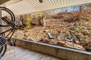 323 Park Ave, Basalt, CO 81621 - Photo 15