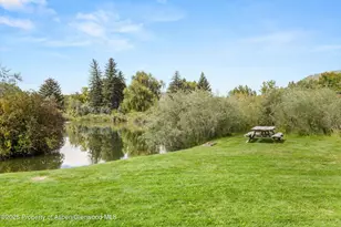 41 Choke Cherry Ct, Carbondale, CO 81623 - Photo 31