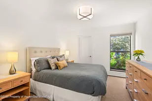 155 Lone Pine - River Bluff, Aspen, CO 81611 - Photo 33