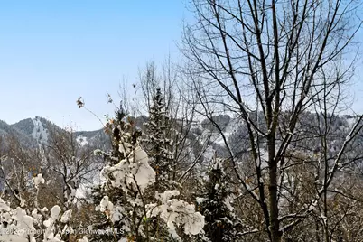 155 Lone Pine - River Bluff #C2, Aspen, CO 81611 - Photo 43