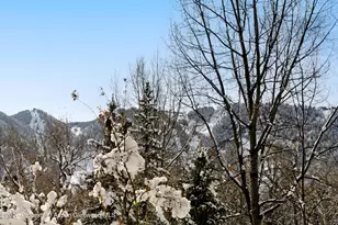 155 Lone Pine - River Bluff, Aspen, CO 81611 - Photo 43