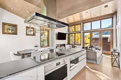 522 Spruce Street, Aspen, CO 81611 - Photo 7