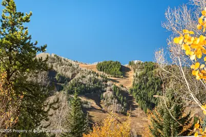 522 Spruce Street, Aspen, CO 81611 - Photo 3