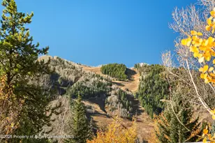 522 Spruce St, Aspen, CO 81611 - Photo 3