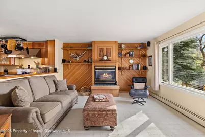 451 Euclid Avenue, Carbondale, CO 81623 - Photo 9