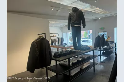 312 S Hunter Street, Aspen, CO 81611 - Photo 9