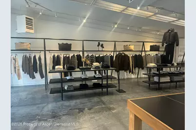 312 S Hunter Street, Aspen, CO 81611 - Photo 7