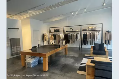 312 S Hunter Street, Aspen, CO 81611 - Photo 5