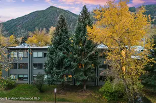 725 E Main St, Aspen, CO 81611 - Photo 37