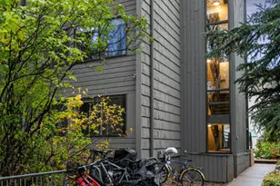 725 E Main St, Aspen, CO 81611 - Photo 33