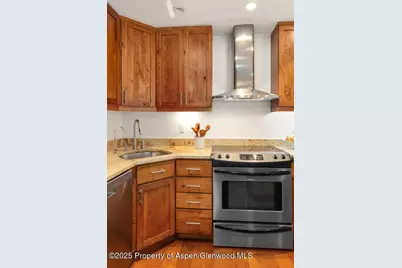 725 E Main Street #309, Aspen, CO 81611 - Photo 15