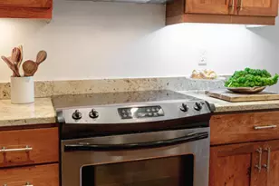 725 E Main St, Aspen, CO 81611 - Photo 19