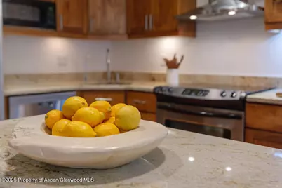 725 E Main Street #309, Aspen, CO 81611 - Photo 13