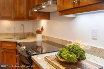 725 E Main Street #309, Aspen, CO 81611 - Photo 17