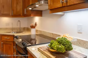 725 E Main St, Aspen, CO 81611 - Photo 17