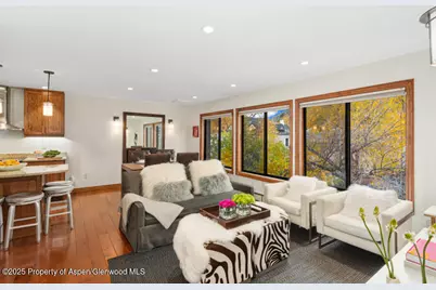 725 E Main Street #309, Aspen, CO 81611 - Photo 1