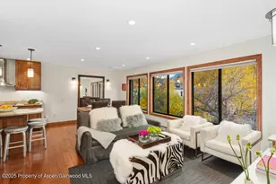 725 E Main St, Aspen, CO 81611 - Photo 1