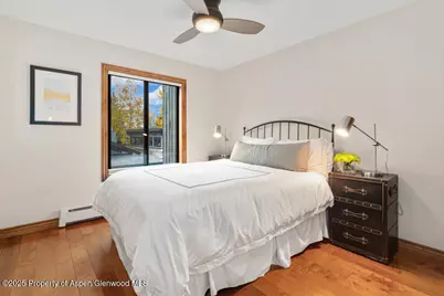 725 E Main Street #309, Aspen, CO 81611 - Photo 29