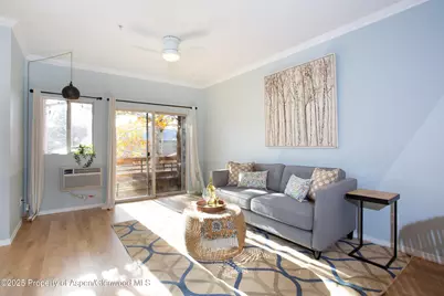 1400 E E Valley Road #212, Basalt, CO 81621 - Photo 3