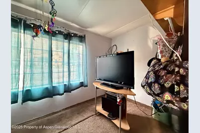 241 W 4th St Street, Palisade, CO 81526 - Photo 5