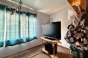 241 W 4th St St, Palisade, CO 81526 - Photo 5