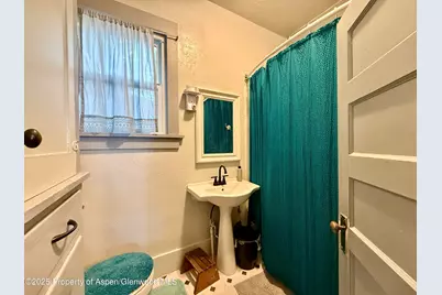 241 W 4th St Street, Palisade, CO 81526 - Photo 21