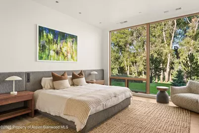 103 Willow Road #205, Basalt, CO 81621 - Photo 11
