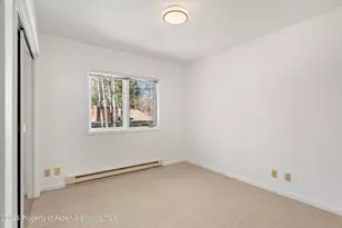 1120 Dale Ave, Aspen, CO 81611 - Photo 19